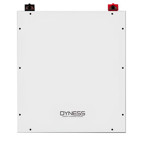 Акумуляторна батарея Dyness DL5.0C, 51.2V, 100Ah, LiFePo4, 5.12kWh арт.503 фото